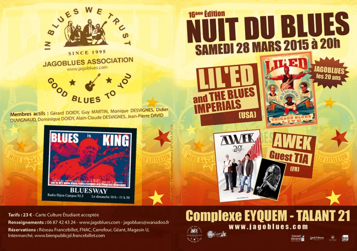 Jagoblues-Nuit du blues 2015 