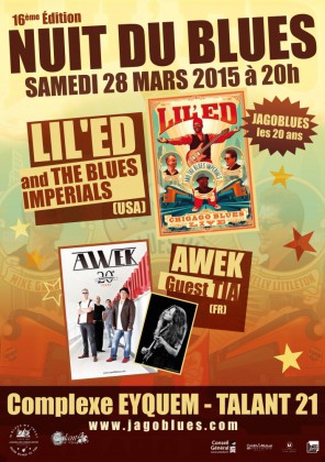 NUIT DU BLUES 2015